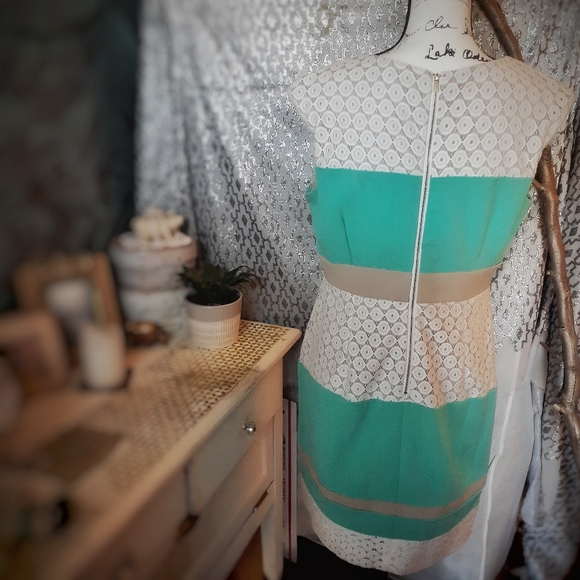 Sandra Darren Color Block w/ Lace Dress - Picture 3 of 4